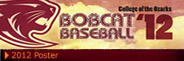 Baseball Poster