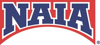 NAIA Bridge Logo