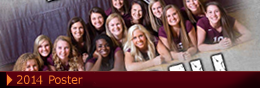 Volleyball Poster