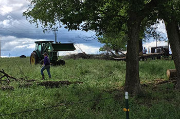 Tractor and workers in field