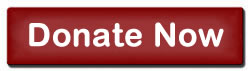 Donate Now