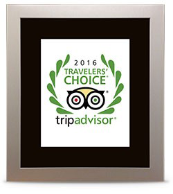 2016 Travelers' Choice Award
