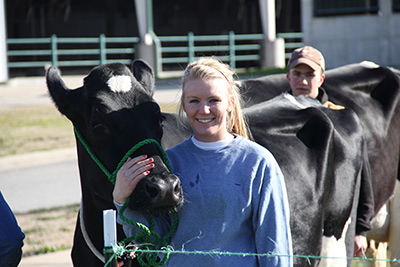 student dairy worker and herdsman Haley Hines shows one of the Holsteins 