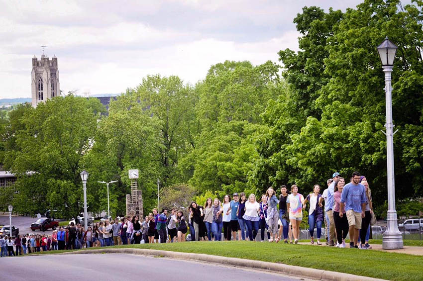 Graduation cat walk